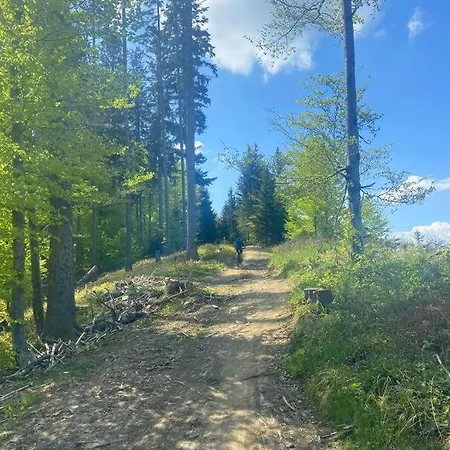 Apartamento Ferien-wohnung Fuer 1-4 Pers In Seenaehe Timelkam