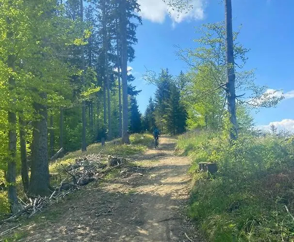 Lejlighed Ferien-wohnung Fuer 1-4 Pers In Seenaehe Timelkam